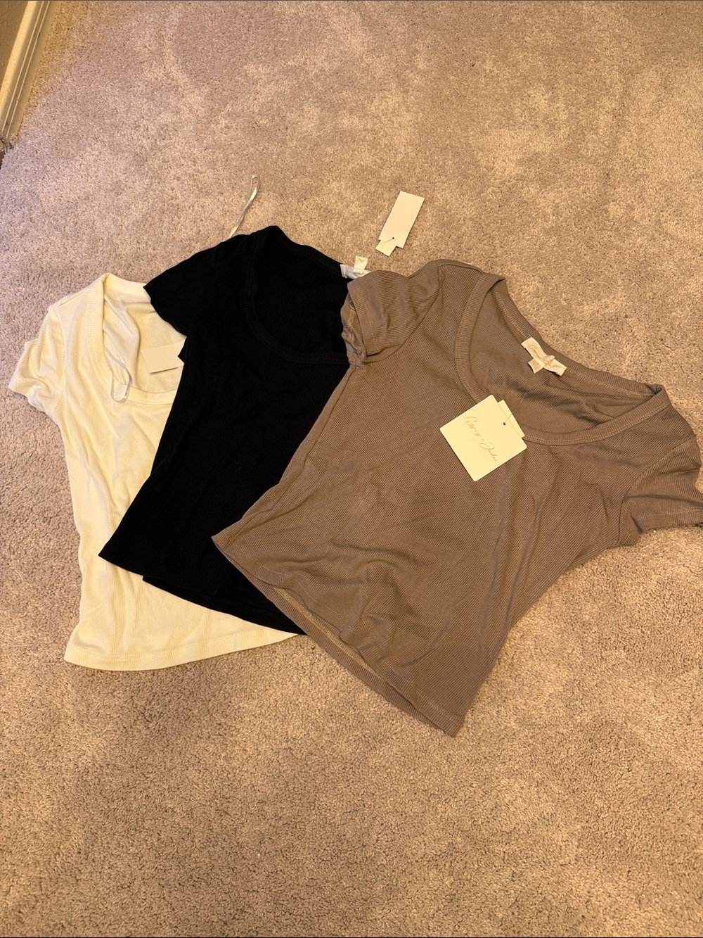 Women's Scoop Neck Tee - Taupe, Black, White